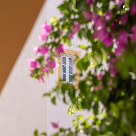 Bed and Breakfast Casa Morgado Esporao Évora Zewnętrze zdjęcie